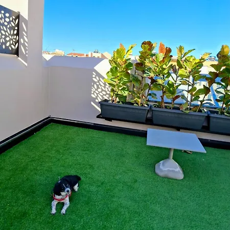 Citrus Daliani Bed & Breakfast 4*