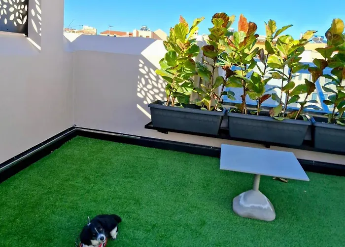 Citrus Daliani Panzió 4*